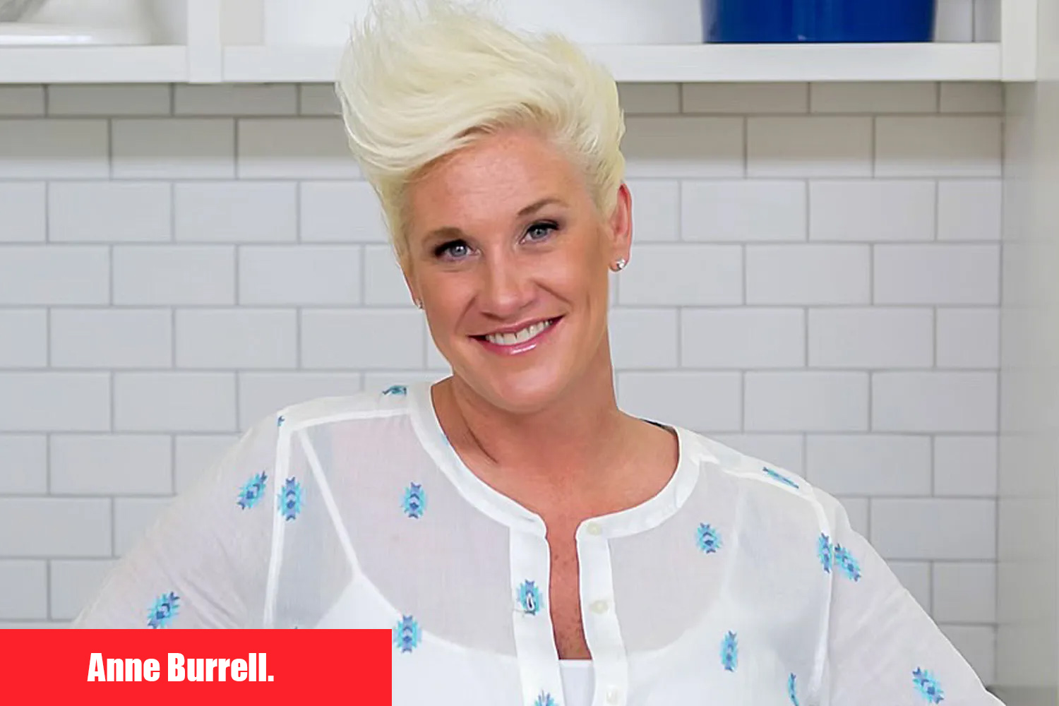 Anne burrell food network3 061725 e8852a94a35347d08ae0918027df6c1e copy